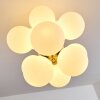 Hyco Plafondlamp Nikkel mat, 12-lichts