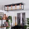 Malao Plafondlamp Roségoud, Zwart, 4-lichts
