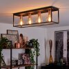 Malao Plafondlamp Roségoud, Zwart, 4-lichts