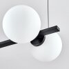 Rascoupet Hanglamp Zwart, 6-lichts