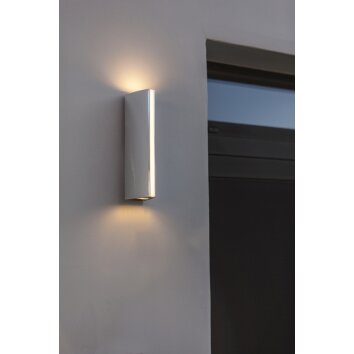 Lutec LEO Buiten muurverlichting LED Chroom, 1-licht