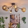 Ripoll Plafondlamp, Kogellampje Amber, Duidelijk, Rookkleurig, 6-lichts