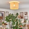 Sabadim Plafondlamp Beige, Natuurlijke kleuren, 1-licht