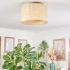 Sabadim Plafondlamp Beige, Natuurlijke kleuren, 1-licht