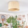 Sabadim Plafondlamp Beige, Natuurlijke kleuren, 1-licht