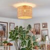 Cavaca Plafondlamp Natuurlijke kleuren, 1-licht