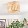 Cavaca Plafondlamp Natuurlijke kleuren, 1-licht