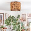 Cando Plafondlamp Natuurlijke kleuren, 1-licht