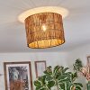 Cando Plafondlamp Natuurlijke kleuren, 1-licht