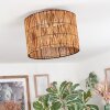 Cando Plafondlamp Natuurlijke kleuren, 1-licht