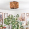 Cando Plafondlamp Natuurlijke kleuren, 1-licht