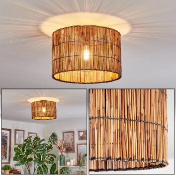 Cando Plafondlamp Natuurlijke kleuren, 1-licht
