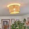 Ramila Plafondlamp Natuurlijke kleuren, Zwart, 1-licht