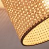 Ramila Plafondlamp Natuurlijke kleuren, Zwart, 1-licht