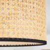 Ramila Plafondlamp Natuurlijke kleuren, Zwart, 1-licht