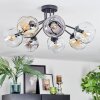 Ripoll Plafondlamp, Kogellampje Amber, Duidelijk, Rookkleurig, 7-lichts