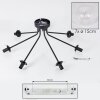 Koyoto Plafondlamp, Kogellampje 82 cm Duidelijk, 7-lichts