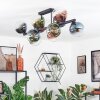 Gastor Plafondlamp, Kogellampje Blauw, Groen, Duidelijk, Koperkleurig, 10-lichts
