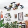 Gastor Plafondlamp, Kogellampje Blauw, Groen, Duidelijk, Koperkleurig, 10-lichts