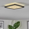 Simonstorp Plafondlamp, Paneel LED Zwart, Wit, 1-licht