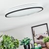 Onara Plafondlamp, Paneel LED Zwart, Wit, 1-licht