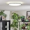 Onara Plafondlamp, Paneel LED Zwart, Wit, 1-licht