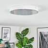 Elmar Plafondlamp, Paneel LED Wit, 1-licht