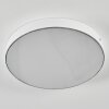 Elmar Plafondlamp, Paneel LED Wit, 1-licht
