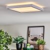 Xarel Plafondlamp, Paneel LED Wit, 1-licht