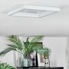 Xarel Plafondlamp, Paneel LED Wit, 1-licht
