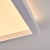 Xarel Plafondlamp, Paneel LED Wit, 1-licht