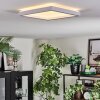 Xarel Plafondlamp, Paneel LED Wit, 1-licht