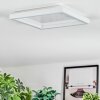 Xarel Plafondlamp, Paneel LED Wit, 1-licht