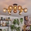 Ripoll Plafondlamp, Kogellampje Goud, Duidelijk, Koperkleurig, Rookkleurig, 10-lichts