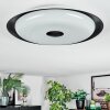 Goran Plafondlamp, Paneel LED Zwart, Wit, 1-licht, Afstandsbediening
