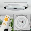 Goran Plafondlamp, Paneel LED Zwart, Wit, 1-licht, Afstandsbediening