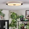 Goran Plafondlamp, Paneel LED Zwart, Wit, 1-licht, Afstandsbediening