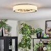 Jalon Plafondlamp, Paneel LED Wit, 1-licht, Afstandsbediening