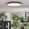Elmar Plafondlamp, Paneel LED Zwart, 1-licht