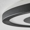 Gelan Plafondlamp, Paneel, Wandlamp LED Zwart, Wit, 1-licht
