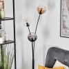 Koyoto Kogellampje, Staande lamp Amber, Duidelijk, Rookkleurig, 3-lichts