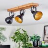 Hagan Plafondlamp, Plafondspot Natuurlijke kleuren, Zwart, 3-lichts