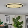 Simonstorp Plafondlamp, Paneel LED Zwart, Wit, 1-licht