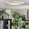 Simonstorp Plafondlamp, Paneel LED Zilver, Wit, 1-licht