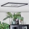 Simonstorp Plafondlamp, Paneel LED Zwart, Wit, 1-licht