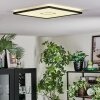 Simonstorp Plafondlamp, Paneel LED Zwart, Wit, 1-licht