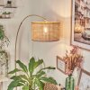 Barcos Staande lamp Messing, Zwart, 1-licht