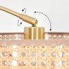 Barcos Staande lamp Messing, Zwart, 1-licht