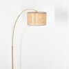 Barcos Staande lamp Messing, Zwart, 1-licht