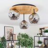 Ripoll Plafondlamp, Kogellampje Natuurlijke kleuren, Zwart, 3-lichts